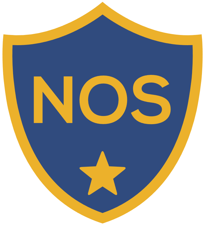 National Online Safety Logo